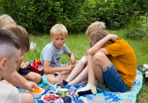Chłopcy z klasy 2a na pikniku.