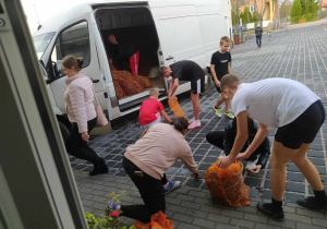 Załadunek kasztanów do busa.