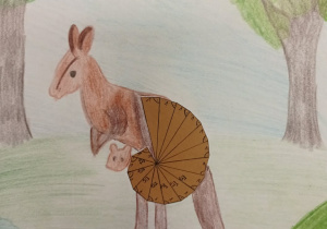 Kangur.