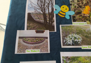 Oznaki wiosny na uczniowskich fotografiach.