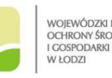 Logo Wojewódzkiego Funduszu Ochrony Środowiska i Gospodarki Wodnej w Łodzi.